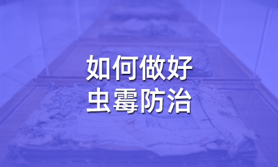 檔案修復(fù)后，如何做好蟲(chóng)霉防治
